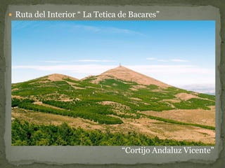  Ruta del Interior “ La Tetica de Bacares”




                                “Cortijo Andaluz Vicente”
 