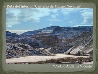  Ruta del Interior “Canteras de Macael Nevadas”




                              “Cortijo Andaluz Vicente”
 