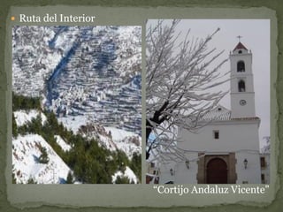  Ruta del Interior




                      “Cortijo Andaluz Vicente”
 