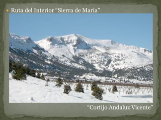  Ruta del Interior “Sierra de María”




                               “Cortijo Andaluz Vicente”
 