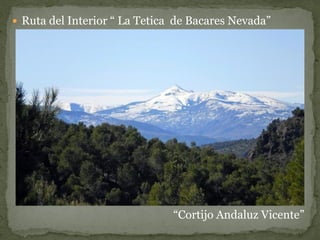  Ruta del Interior “ La Tetica de Bacares Nevada”




                               “Cortijo Andaluz Vicente”
 