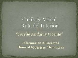 “Cortijo Andaluz Vicente”

   Información & Reservas
Llame al 699434545 ó 646037343
 