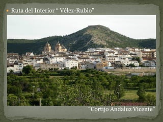  Ruta del Interior “ Vélez-Rubio”




                               “Cortijo Andaluz Vicente”
 