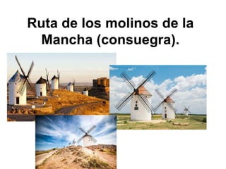 Ruta de los molinos de la
Mancha (consuegra).
 