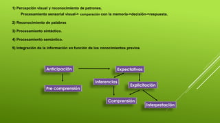 1) Percepción visual y reconocimiento de patrones. 
Procesamiento sensorial visual-> comparación con la memoria->decisión->respuesta. 
2) Reconocimiento de palabras 
3) Procesamiento sintáctico. 
4) Procesamiento semántico. 
5) Integración de la información en función de los conocimientos previos 
Anticipación Expectativas 
Pre comprensión 
Comprensión 
Interpretación 
Inferencias 
Explicitación 
 