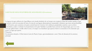 LAGUNA DE AGUA SULFUROSA DE AGUA BLANCA (Ecoturismo)
La laguna de agua sulfurosa de Agua Blanca está situada alrededor de un bosque seco tropical, al final del sendero guiado, al que
se accede a través de una pista de tierra. Se trata de una laguna alimentada por manantiales volcánicos que tiene una profundidad
de 1,20 metros, pero aumenta en la parte central hasta los 4 metros. Se le atribuyen propiedades curativas y por su efecto
antioxidante, ayuda a combatir el envejecimiento de la piel. También es posible hacer sesiones de fangoterapia, que no es otra
cosa que aplicar barro o arcilla sobre la cara y el cuerpo. Los beneficios que aporta el barro se encuentra en los minerales que
posee y el agua que aporta.
Ubicación
Se encuentra ubicada a 12 Km hacia el norte de Puerto López, aproximadamente a unos 5 Km de distancia de la carretera
principal.
 