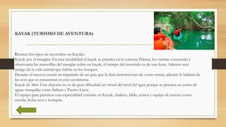 KAYAK (TURISMO DE AVENTURA)
Existen dos tipos de recorridos en Kayaks:
Kayak por el manglar: En esta modalidad el kayak se...