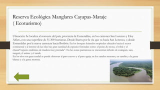 Reserva Ecológica Manglares Cayapas-Mataje
( Ecoturismo)
Ubicación: Se localiza al noroeste del país, provincia de Esmeral...