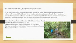 BOLA DE ORO -EL PITAL, PUERTO LÓPE (ECOTURISMO)
Es un sendero ubicado en la parte alta del bosque húmedo del Parque Nacion...