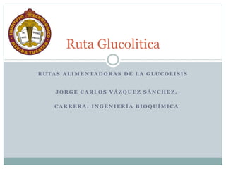 Ruta Glucolitica

RUTAS ALIMENTADORAS DE LA GLUCOLISIS


    JORGE CARLOS VÁZQUEZ SÁNCHEZ.

    CARRERA: INGENIERÍA BIOQUÍMICA
 