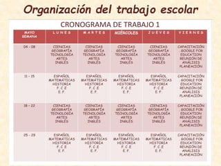 Organización del trabajo escolar
 