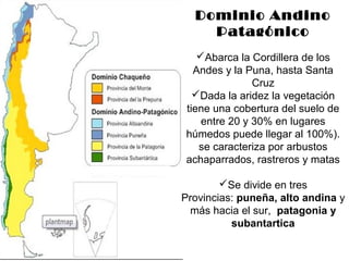Dominio Andino 
Patagónico 
Abarca la Cordillera de los 
Andes y la Puna, hasta Santa 
Cruz 
Dada la aridez la vegetación 
tiene una cobertura del suelo de 
entre 20 y 30% en lugares 
húmedos puede llegar al 100%). 
se caracteriza por arbustos 
achaparrados, rastreros y matas 
Se divide en tres 
Provincias: puneña, alto andina y 
más hacia el sur, patagonia y 
subantartica 
 
