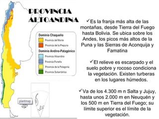 PROVINCIA 
ALTOANDINA Es la franja más alta de las 
montañas, desde Tierra del Fuego 
hasta Bolivia. Se ubica sobre los 
Andes, los picos más altos de la 
Puna y las Sierras de Aconquija y 
Famatina 
El relieve es escarpado y el 
suelo pobre y rocoso condiciona 
la vegetación. Existen turberas 
en los lugares húmedos. 
Va de los 4.300 m n Salta y Jujuy, 
hasta unos 2.000 m en Neuquén y 
los 500 m en Tierra del Fuego; su 
límite superior es el límite de la 
vegetación. 
 