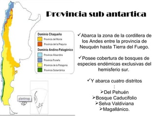 Provincia sub antartica 
Abarca la zona de la cordillera de 
los Andes entre la provincia de 
Neuquén hasta Tierra del Fuego. 
Posee cobertura de bosques de 
especies endémicas exclusivas del 
hemisferio sur. 
Y abarca cuatro distritos 
: 
Del Pehuén 
Bosque Caducifolio 
Selva Valdiviana 
Magallánico. 
 