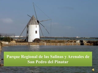 Parque Regional de las Salinas y Arenales de
          San Pedro del Pinatar
 