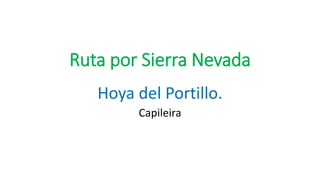Ruta por Sierra Nevada
Hoya del Portillo.
Capileira
 