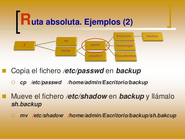 Rutas absolutas y relativas