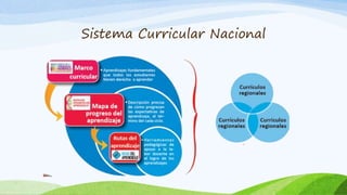 Sistema Curricular Nacional
 