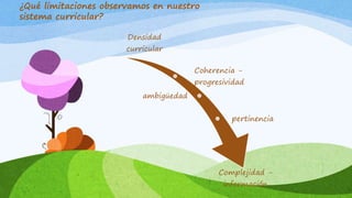 ¿Qué limitaciones observamos en nuestro
sistema curricular?
Densidad
curricular
Coherencia -
progresividad
ambigüedad
pertinencia
Complejidad -
información
 