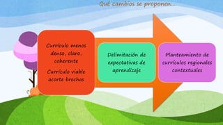 Qué cambios se proponen…
Currículo menos
denso, claro,
coherente
Currículo viable
acorte brechas
Delimitación de
expectativas de
aprendizaje
Planteamiento de
currículos regionales
contextuales
 