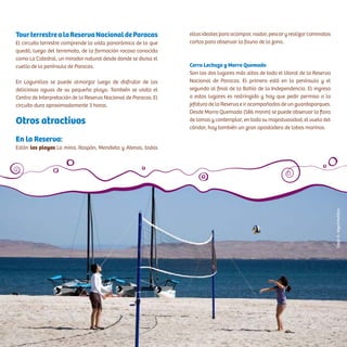 TourterrestrealaReservaNacionaldeParacas
El circuito terrestre comprende la vista panorámica de lo que
quedó, luego del terremoto, de la formación rocosa conocida
como La Catedral, un mirador natural desde donde se divisa el
cuello de la península de Paracas.
En Lagunillas se puede almorzar luego de disfrutar de las
deliciosas aguas de su pequeña playa. También se visita el
Centro de Interpretación de la Reserva Nacional de Paracas. El
circuito dura aproximadamente 3 horas.
Otros atractivos
En la Reserva:
Están las playas La mina, Raspón, Mendieta y Atenas, todas
ellas ideales para acampar, nadar, pescar y realizar caminatas
cortas para observar la fauna de la zona.
Cerro Lechuza y Morro Quemado
Son los dos lugares más altos de todo el litoral de la Reserva
Nacional de Paracas. El primero está en la península y el
segundo al final de la Bahía de la Independencia. El ingreso
a estos lugares es restringido y hay que pedir permiso a la
jefatura de la Reserva e ir acompañados de un guardaparques.
Desde Morro Quemado (586 msnm) se puede observar la flora
de lomas y contemplar, en toda su majestuosidad, el vuelo del
cóndor, hay también un gran apostadero de lobos marinos.
CésarA.Vega/Inkafotos
 