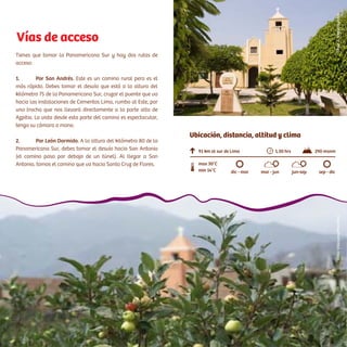 Vías de acceso
Tienes que tomar la Panamericana Sur y hay dos rutas de
acceso:
1.	 Por San Andrés. Este es un camino rural pero es el
más rápido. Debes tomar el desvío que está a la altura del
kilómetro 75 de la Panamericana Sur, cruzar el puente que va
hacia las instalaciones de Cementos Lima, rumbo al Este, por
una trocha que nos llevará directamente a la parte alta de
Azpitia. La vista desde esta parte del camino es espectacular,
tenga su cámara a mano.
2.	 Por León Dormido. A la altura del kilómetro 80 de la
Panamericana Sur, debes tomar el desvío hacia San Antonio
(el camino pasa por debajo de un túnel). Al llegar a San
Antonio, tomas el camino que va hacia Santa Cruz de Flores.
91 km al sur de Lima
min 14°C
max 30°C
1.30 hrs 290 msnm
dic - mar mar - jun jun-sep sep - dic
Ubicación, distancia, altitud y clima
CésarA.Vega/InkafotosVíctorVillanueva/PromPerú
 