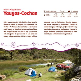 Acceso:
Tomar la Panamericana Norte. En el trayecto se pasa por el
desvío a Ancón (Km 45). Luego se tiene que cruzar la variante de
Pasamayo (tránsito liviano), o el serpentín (tránsito pesado). En
el viaje de Lima a Huaral se encontrará un peaje (Km 48). Tener en
cuenta que en el tramo de Pasamayo no existen grifos.
Entre las cuencas del Alto Cañete, al norte de la
provincia limeña de Yauyos, y la cuenca del río
Cochas – Pachacayo al suroeste de la provincia de
Jauja (Junín) se despliega la Reserva Paisajística
Nor Yauyos-Cochas (221,268.48 ha). ¿Y por qué
esta categoría? Es que es una de las zonas de
mayor belleza escénica del Perú. Posee míticos
Yauyos-Cochas
Reserva Paisajística Nor
nevados, como el Pariacaca y Tunsho, lagunas
de aguas turquesas y cristalinas, cientos de
caídas de agua, cielo azul, profundos cañones y
quebradas, bosques de queñuales y rodales de
puyas Raimondi y una gran diversidad de aves.
Además, sus habitantes son muy amables.
322 km al sur de Lima
min 9°C
max 20°C
7 hrs +/- 3500 msnm
dic - mar mar - jun jun-sep sep - dic
Ubicación, distancia, altitud y clima
CésarA.Vega/Inkafotos
 