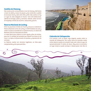 Castillo de Chancay
Esta construcción se eleva frente al mar de Chancay. Está hecho
a base de adobe y huevo de piquero y fue construido a pedido
de Consuelo Amat y León entre 1924 y 1935. Este castillo es hoy
un lugar de visita obligado en Huaral. Tiene 250 habitaciones,
además de terrazas, patios y torreones. Además, ofrece servicio
de hospedaje, tiendas de souvenirs, restaurante y piscina.
Reserva Nacional de Lachay
Entre las provincias limeñas de Huaral y Huaura se extiende la
Reserva Nacional Lomas de Lachay, en 5070 hectáreas de vida y
verdor. Se ubica al noroeste de la ciudad de Huaral, a la altura del
kilómetro 105 de la Panamericana Norte.
La mejor época para visitarla es entre agosto y fines de octubre,
pues por la cantidad de humedad que retienen las lomas se da
inicio a la época de florecimiento de plantas y reproducción de
animales.
La Reserva cuenta con servicios higiénicos, un área para
campamentos y otra para parrillas.
Catarata de Callapaccha
Si te animas a dar un paseo, algo exigente, puedes visitar la
cascada de Callapaccha. Son cuatro horas de caminata cuesta
arriba desde el pueblo de Lampián hasta esta caída de agua de
aproximadamente 75 metros de altura. Muy cerca se encuentra
un lugar donde se puede acampar si deseas pasar más días en
CésarA.Vega/InkafotosCésarA.Vega/Inkafotos
 