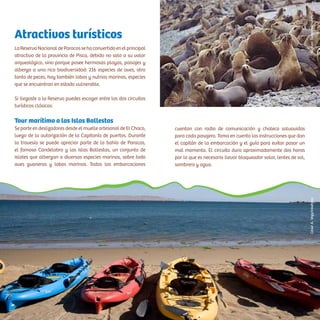 Atractivos turísticos
LaReservaNacionaldeParacassehaconvertidoenelprincipal
atractivo de la provincia de Pisco, debido no solo a su valor
arqueológico, sino porque posee hermosas playas, paisajes y
alberga a una rica biodiversidad: 216 especies de aves, otro
tanto de peces, hay también lobos y nutrias marinas, especies
que se encuentran en estado vulnerable.
Si llegaste a la Reserva puedes escoger entre los dos circuitos
turísticos clásicos:
Tour marítimo a las Islas Ballestas
Se parte en deslizadores desde el muelle artesanal de El Chaco,
luego de la autorización de la Capitanía de puertos. Durante
la travesía se puede apreciar parte de la bahía de Paracas,
el famoso Candelabro y las islas Ballestas, un conjunto de
islotes que albergan a diversas especies marinas, sobre todo
aves guaneras y lobos marinos. Todas las embarcaciones
cuentan con radio de comunicación y chaleco salvavidas
para cada pasajero. Toma en cuenta las instrucciones que dan
el capitán de la embarcación y el guía para evitar pasar un
mal momento. El circuito dura aproximadamente dos horas
por lo que es necesario llevar bloqueador solar, lentes de sol,
sombrero y agua.
CésarA.Vega/InkafotosMichaelTweddle/PromPerú
 
