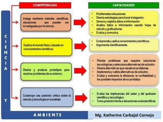 Mg. Katherine Carbajal Cornejo
 