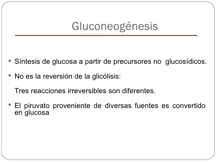 Rutas del metabolismo carbohidratos Rutas del metabolismo carbohidratos