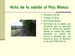 Ruta de la subida al Picu Blancu
                 Distancia: 20 km
                 Tiempo: 5 horas
                 Dificultad: Media
                 Partiendo de la plaza nos
                  dirigimos por la derecha
                  hacia la salida del pueblo.
                  Donde se acaban las casas
                  tomamos un camino de
                  tierra y piedras que nos
                  llevará al pico. El desnivel
                  es de unos 700 metros.
 