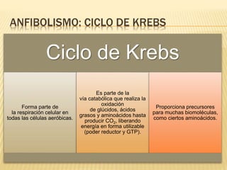 ANFIBOLISMO: CICLO DE KREBS
Ciclo de Krebs
Forma parte de
la respiración celular en
todas las células aeróbicas.
Es parte de la
vía catabólica que realiza la
oxidación
de glúcidos, ácidos
grasos y aminoácidos hasta
producir CO2, liberando
energía en forma utilizable
(poder reductor y GTP).
Proporciona precursores
para muchas biomoléculas,
como ciertos aminoácidos.
 