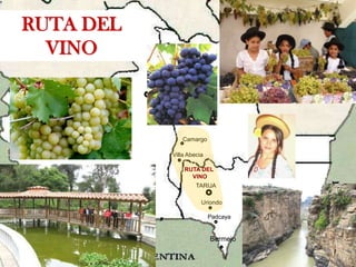 SUCRE POTOSÍ Camargo Villa Abecia Villamontes TARIJA Oro Ingenio Uriondo Cañada Oruro Yacuiba   Padcaya Bermejo RUTA DEL VINO RUTA DEL  VINO 