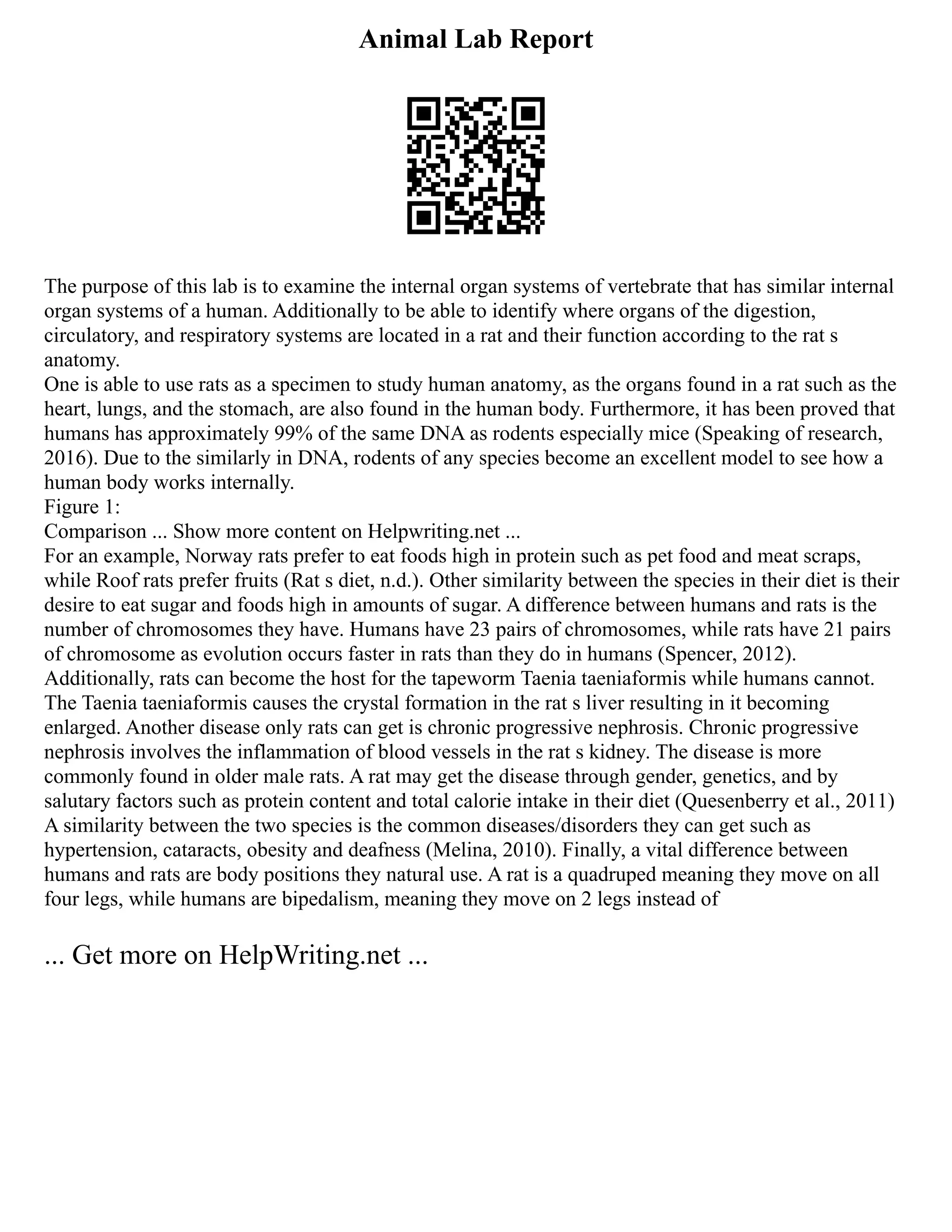 Animal Lab Report
The purpose of this lab is to examine the internal organ systems of vertebrate that has similar internal
organ systems of a human. Additionally to be able to identify where organs of the digestion,
circulatory, and respiratory systems are located in a rat and their function according to the rat s
anatomy.
One is able to use rats as a specimen to study human anatomy, as the organs found in a rat such as the
heart, lungs, and the stomach, are also found in the human body. Furthermore, it has been proved that
humans has approximately 99% of the same DNA as rodents especially mice (Speaking of research,
2016). Due to the similarly in DNA, rodents of any species become an excellent model to see how a
human body works internally.
Figure 1:
Comparison ... Show more content on Helpwriting.net ...
For an example, Norway rats prefer to eat foods high in protein such as pet food and meat scraps,
while Roof rats prefer fruits (Rat s diet, n.d.). Other similarity between the species in their diet is their
desire to eat sugar and foods high in amounts of sugar. A difference between humans and rats is the
number of chromosomes they have. Humans have 23 pairs of chromosomes, while rats have 21 pairs
of chromosome as evolution occurs faster in rats than they do in humans (Spencer, 2012).
Additionally, rats can become the host for the tapeworm Taenia taeniaformis while humans cannot.
The Taenia taeniaformis causes the crystal formation in the rat s liver resulting in it becoming
enlarged. Another disease only rats can get is chronic progressive nephrosis. Chronic progressive
nephrosis involves the inflammation of blood vessels in the rat s kidney. The disease is more
commonly found in older male rats. A rat may get the disease through gender, genetics, and by
salutary factors such as protein content and total calorie intake in their diet (Quesenberry et al., 2011)
A similarity between the two species is the common diseases/disorders they can get such as
hypertension, cataracts, obesity and deafness (Melina, 2010). Finally, a vital difference between
humans and rats are body positions they natural use. A rat is a quadruped meaning they move on all
four legs, while humans are bipedalism, meaning they move on 2 legs instead of
... Get more on HelpWriting.net ...
 