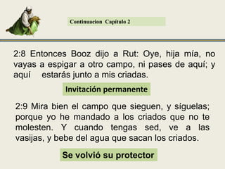 ContinuacionCapítulo 22:8 Entonces Booz dijo a Rut: Oye, hija mía, no vayas a espigar a otro campo, ni pases de aquí; y aquí� estarás junto a mis criadas. Invitaciónpermanente2:9 Mira bien el campo que sieguen, y síguelas; porque yo he mandado a los criados que no te molesten. Y cuando tengas sed, ve a las vasijas, y bebe del agua que sacan los criados. Se volviósu protector