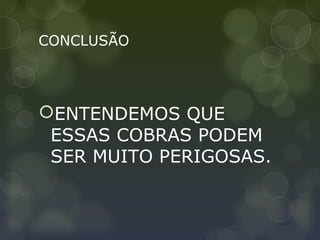 CONCLUSÃO




ENTENDEMOS QUE
 ESSAS COBRAS PODEM
 SER MUITO PERIGOSAS.
 