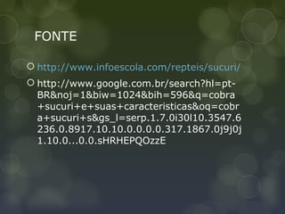 FONTE

 http://www.infoescola.com/repteis/sucuri/
 http://www.google.com.br/search?hl=pt-
  BR&noj=1&biw=1024&bih=596&q=cobra
  +sucuri+e+suas+caracteristicas&oq=cobr
  a+sucuri+s&gs_l=serp.1.7.0i30l10.3547.6
  236.0.8917.10.10.0.0.0.0.317.1867.0j9j0j
  1.10.0...0.0.sHRHEPQOzzE
 