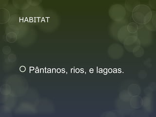 HABITAT




 Pântanos, rios, e lagoas.
 