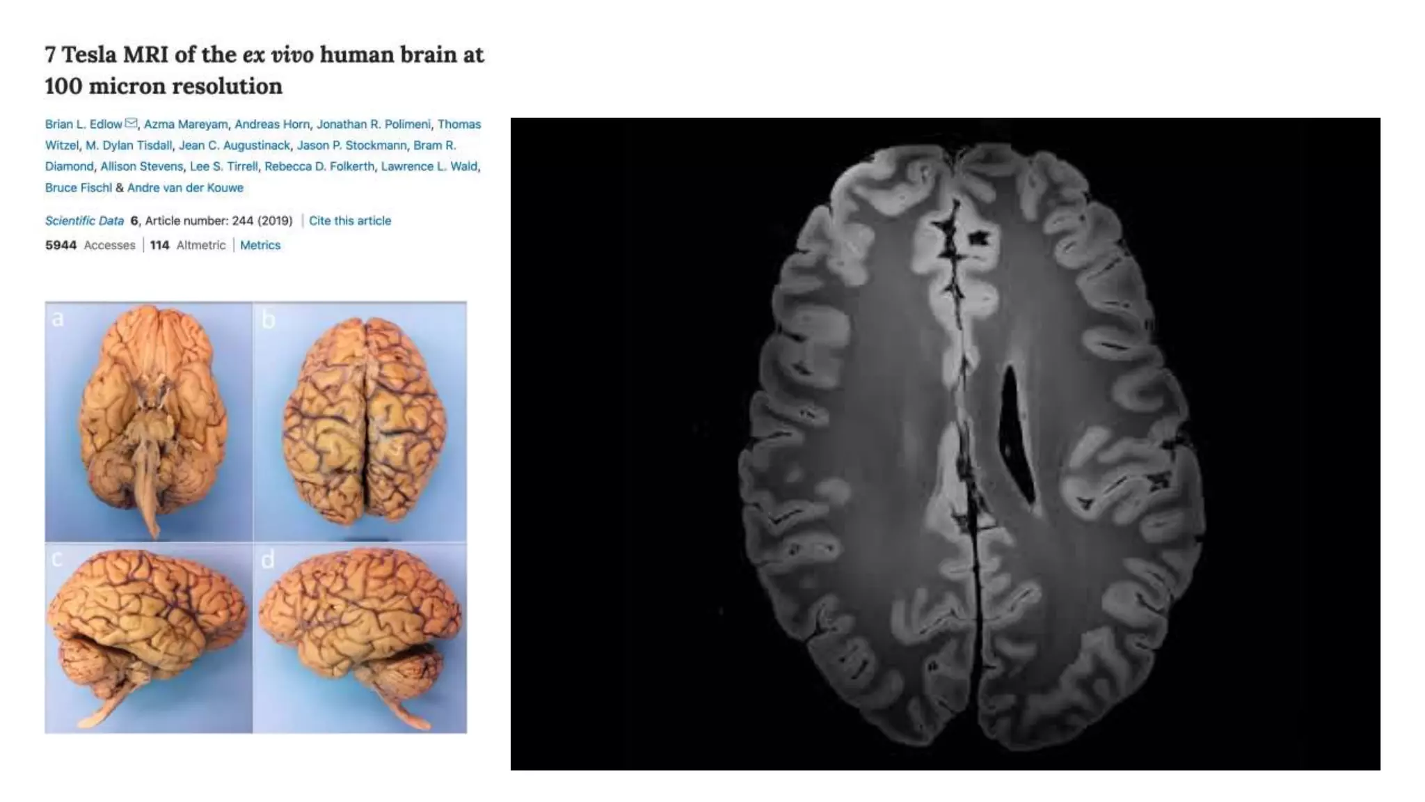 Rutherford_MiCHAMP2020.pptx