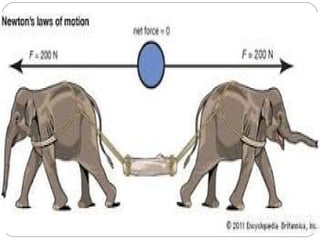 newtons laws of motion | PPT