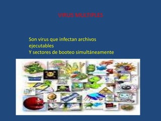 VIRUS MULTIPLES
Son virus que infectan archivos
ejecutables
Y sectores de booteo simultáneamente
 