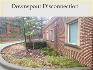 
Downspout Disconnection
 