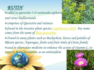 RUTIN5.pptx