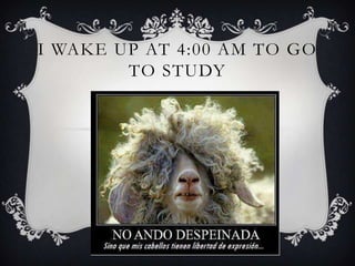 I WAKE UP AT 4:00 AM TO GO
        TO STUDY
 