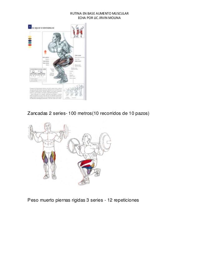 Rutina aumento masa muscular