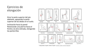 Ejercicios de
elongación
Girar la parte superior del pie
adelante, apoyando la parte
superior de los dedos en el suelo.
In...