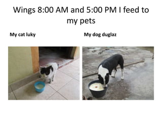 Wings 8:00 AM and 5:00 PM I feed to
my pets
My cat luky My dog duglaz
 