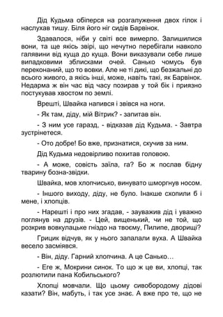 Дід Кудьма обіперся на розгалуження двох гілок і
наслухав тишу. Біля його ніг сидів Барвінок.
Здавалося, ніби у світі все вимерло. Залишилися
вони, та ще якісь звірі, що нечутно перебігали навколо
галявини від куща до куща. Вони виказували себе лише
випадковими зблисками очей. Санько чомусь був
переконаний, що то вовки. Але не ті дикі, що безжальні до
всього живого, а якісь інші, може, навіть такі, як Барвінок.
Недарма ж він час від часу позирав у той бік і приязно
постукував хвостом по землі.
Врешті, Швайка напився і звівся на ноги.
- Як там, діду, мій Вітрик? - запитав він.
- З ним усе гаразд, - відказав дід Кудьма. - Завтра
зустрінетеся.
- Ото добре! Бо вже, признатися, скучив за ним.
Дід Кудьма недовірливо похитав головою.
- А може, совість заїла, га? Бо ж послав бідну
тварину бозна-звідки.
Швайка, мов хлопчисько, винувато шморгнув носом.
- Іншого виходу, діду, не було. Інакше схопили б і
мене, і хлопців.
- Нарешті і про них згадав, - зауважив дід і уважно
поглянув на друзів. - Цей, вищенький, чи не той, що
розкрив вовкулацьке гніздо на твоєму, Пилипе, дворищі?
Грицик відчув, як у нього запалали вуха. А Швайка
весело засміявся.
- Він, діду. Гарний хлопчина. А це Санько…
- Еге ж, Мокрини синок. То що ж це ви, хлопці, так
розлютили пана Кобильського?
Хлопці мовчали. Що цьому сивобородому дідові
казати? Він, мабуть, і так усе знає. А вже про те, що не
 
