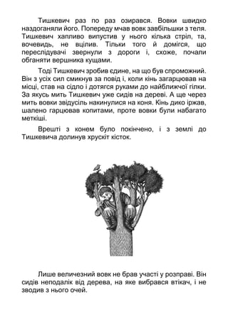 Тишкевич раз по раз озирався. Вовки швидко
наздоганяли його. Попереду мчав вовк завбільшки з теля.
Тишкевич хапливо випустив у нього кілька стріл, та,
вочевидь, не вцілив. Тільки того й домігся, що
переслідувачі звернули з дороги і, схоже, почали
обганяти вершника кущами.
Тоді Тишкевич зробив єдине, на що був спроможний.
Він з усіх сил смикнув за повід і, коли кінь загарцював на
місці, став на сідло і дотягся руками до найближчої гілки.
За якусь мить Тишкевич уже сидів на дереві. А ще через
мить вовки звідусіль накинулися на коня. Кінь дико іржав,
шалено гарцював копитами, проте вовки були набагато
меткіші.
Врешті з конем було покінчено, і з землі до
Тишкевича долинув хрускіт кісток.
Лише величезний вовк не брав участі у розправі. Він
сидів неподалік від дерева, на яке вибрався втікач, і не
зводив з нього очей.
 